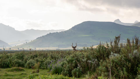 Bale Mountains National Park © Chulalongkorn University