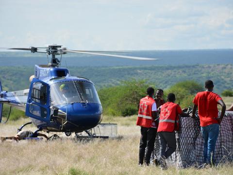 H125