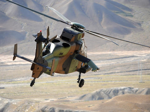 Tiger-DSC_3734.jpg