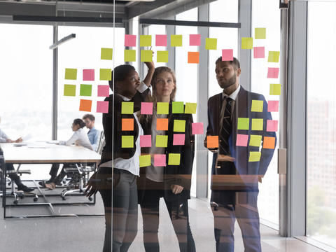 Business and support careers
