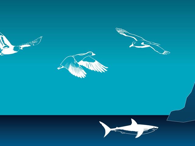 Biomimicry