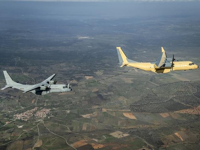 C295