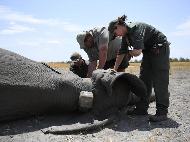 Namibia