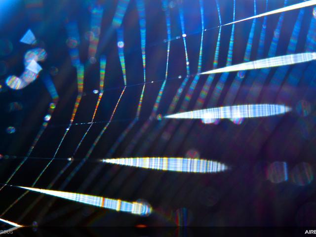 Spider-silk-AMsilk-materials-innovation