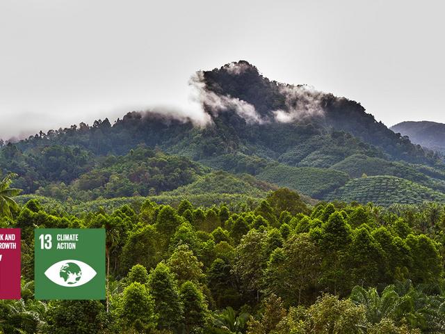 Starling-Forest-Deforestation