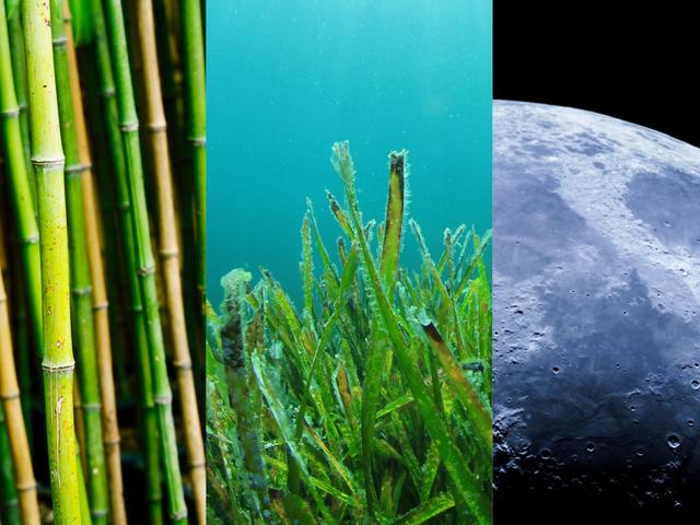 composite