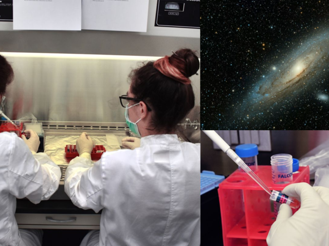 3D Organoids from Space