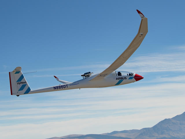 blue condor