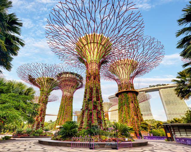 Singapore Careers Teaser Singapore Careers Teaser