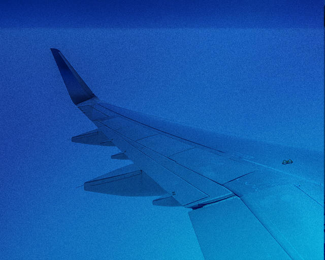 Aircraft wing