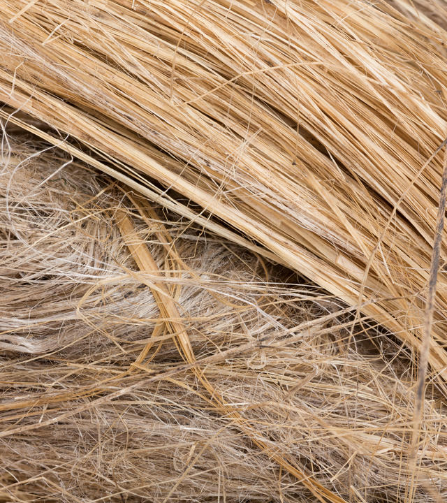 Future-materials-Flax