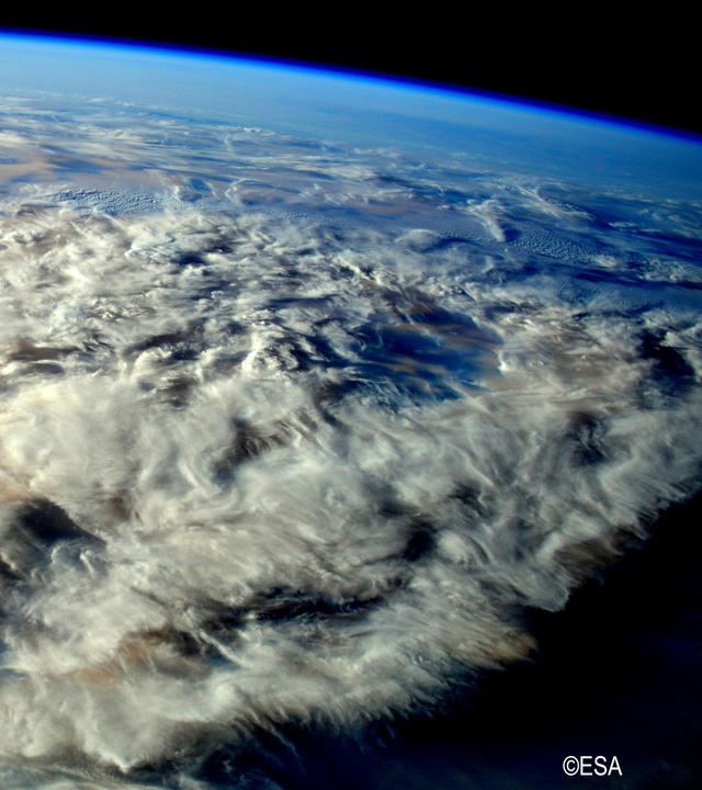 Ecosystem Earth