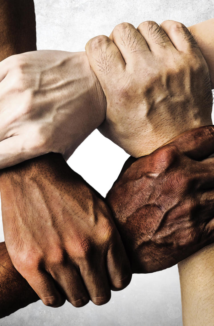 Human Rights Illustration Human Rights Illustration