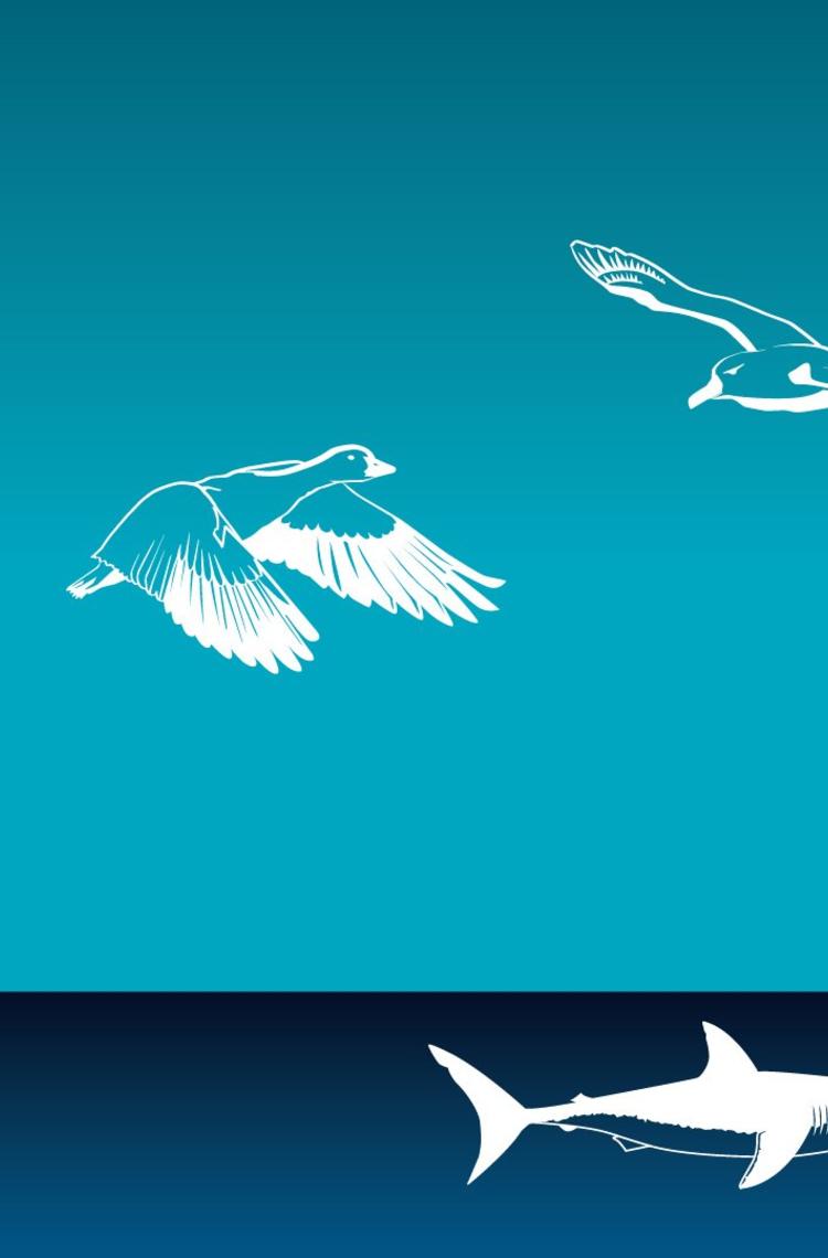 Biomimicry