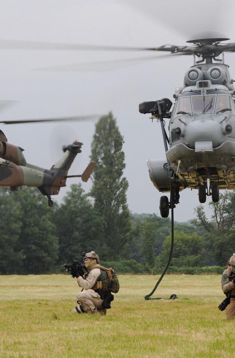 The French armed forces: a historic partnership