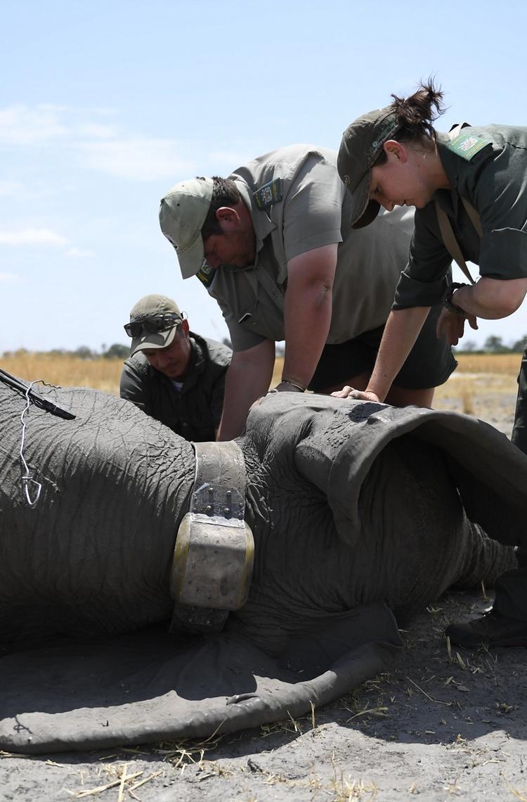 Namibia Namibia