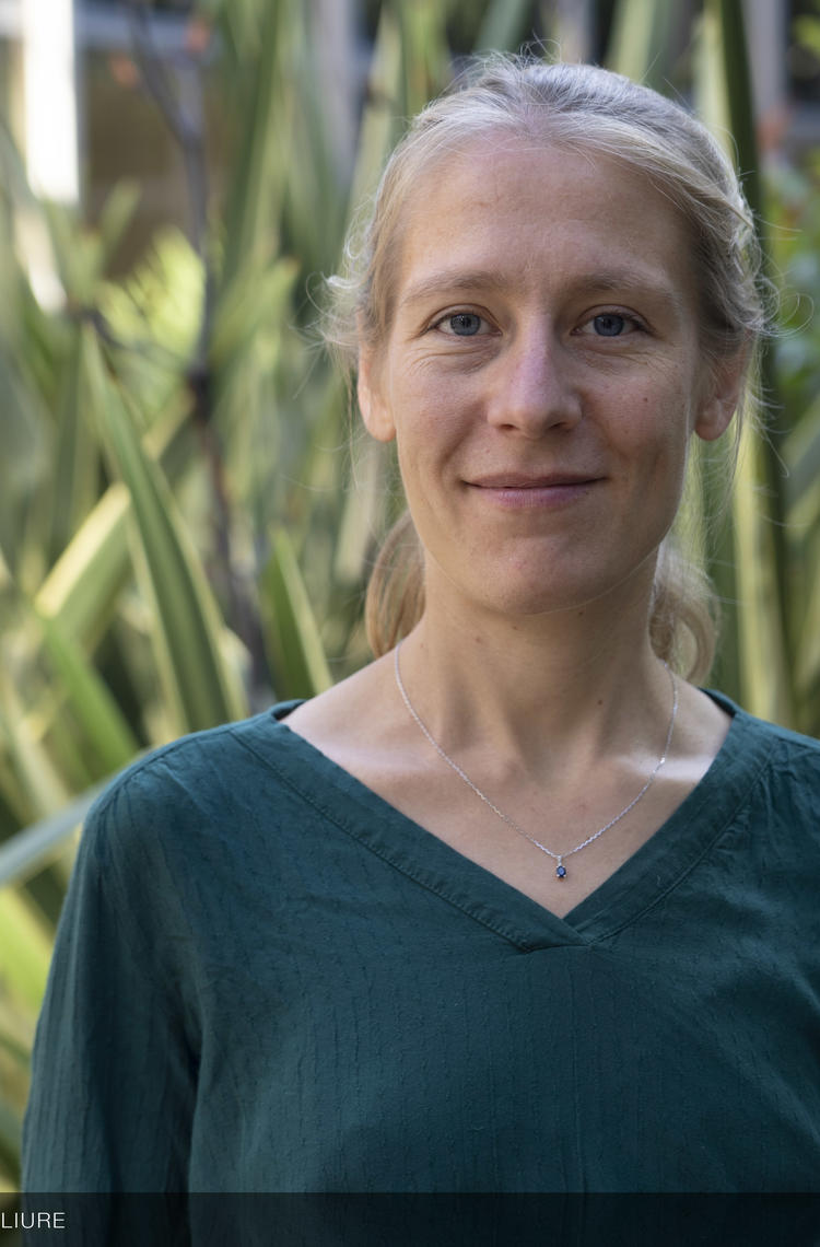 Louise Bellemère Louise Bellemère