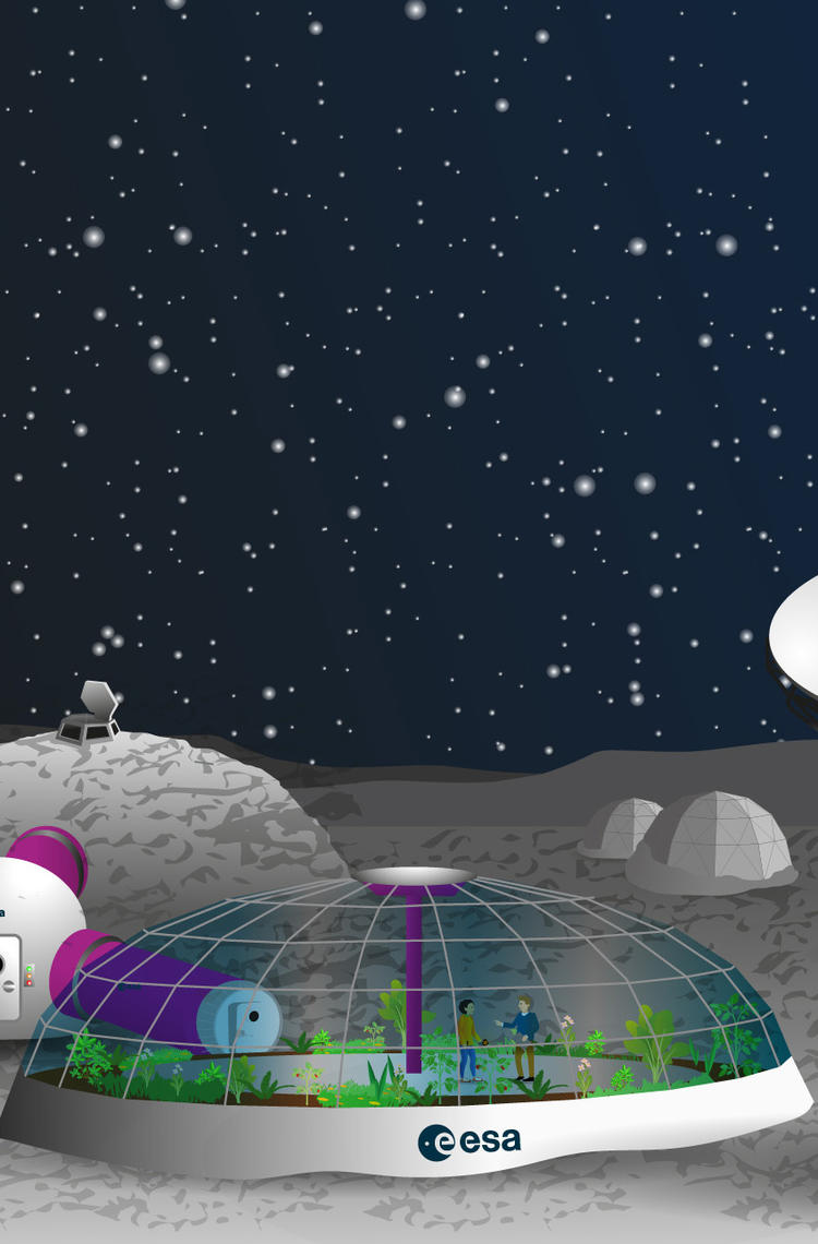 Moon Camp Challenge