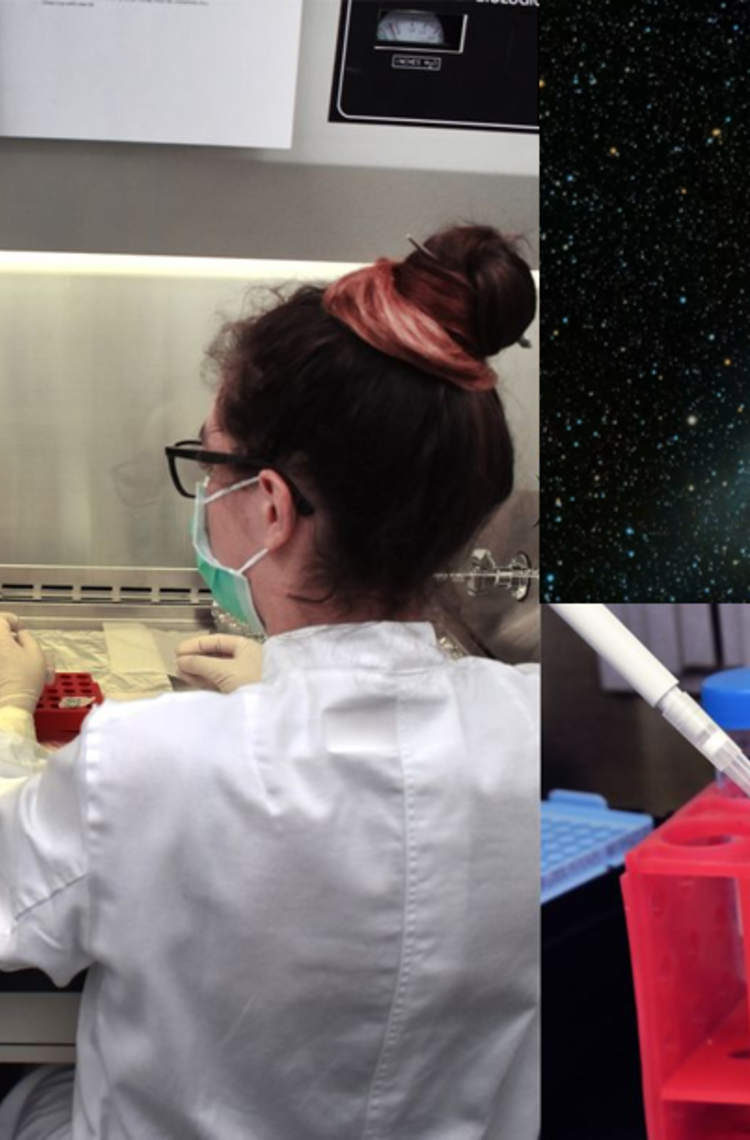 3D Organoids from Space
