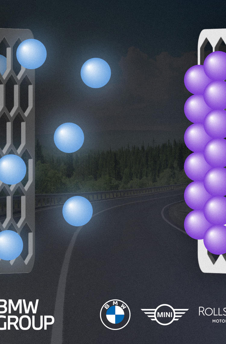 The oxygen reduction reaction