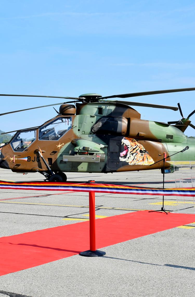 A Tiger on the runway before the EFA's 20 year anniversary