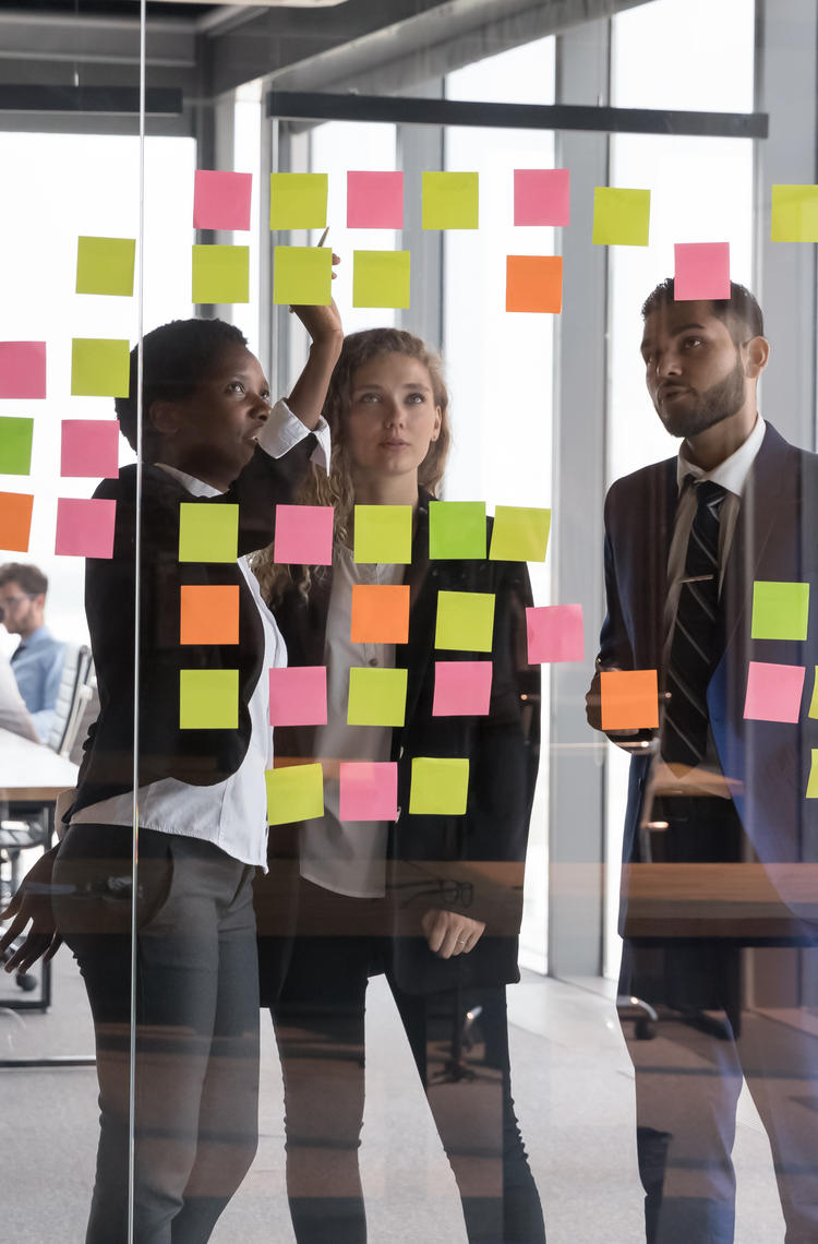 Business and support careers