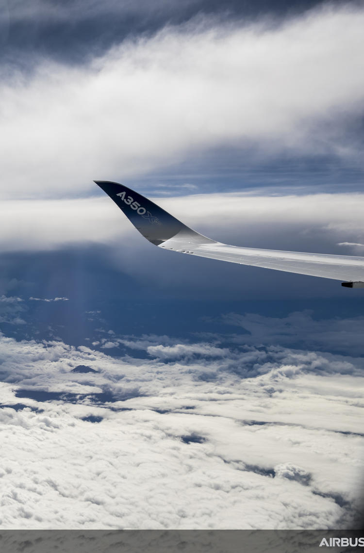 A350-1000 Airbus MSN059 - in flight