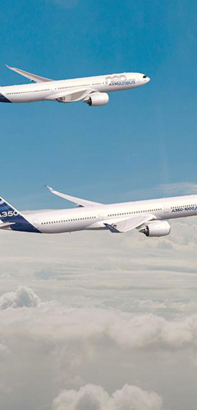 Airbus Passenger Aircraft Family Formation