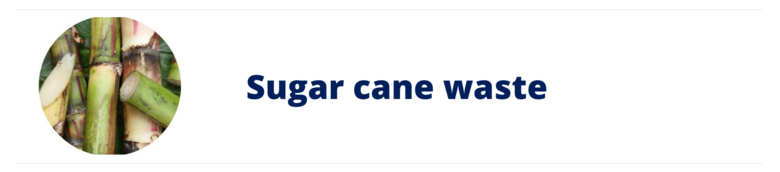 Sugar cane waste
