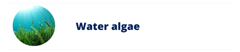 Water algae