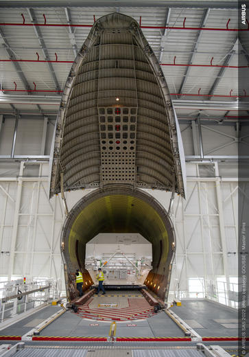 Beluga loading in TLS vertical