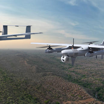 Aliaca family Aliaca family