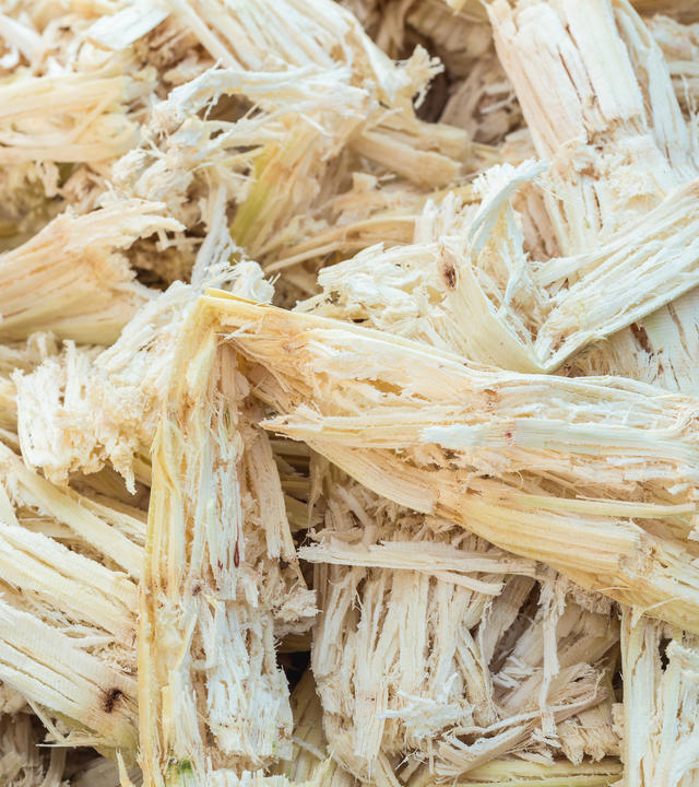 Future-materials-Bagasse Future-materials-Bagasse